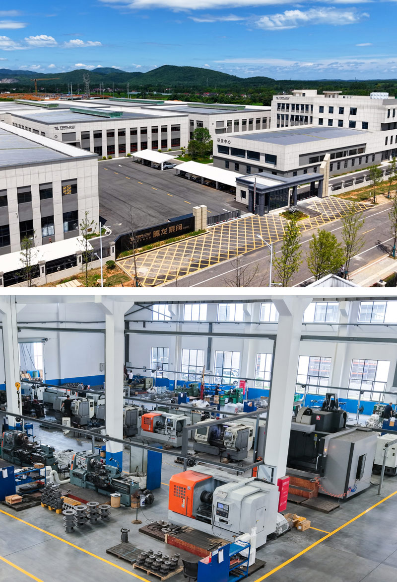 специалисты по изготовлению на заказ магнитных приводных насосов - насос и клапан Tenglong